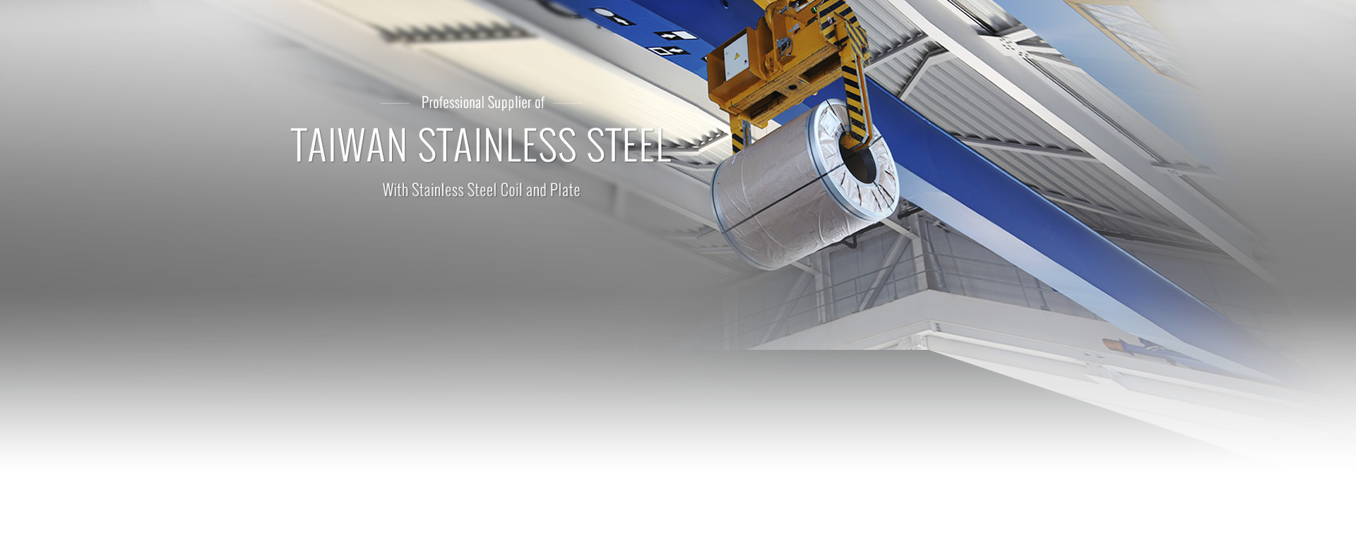Stainless Steel Coils