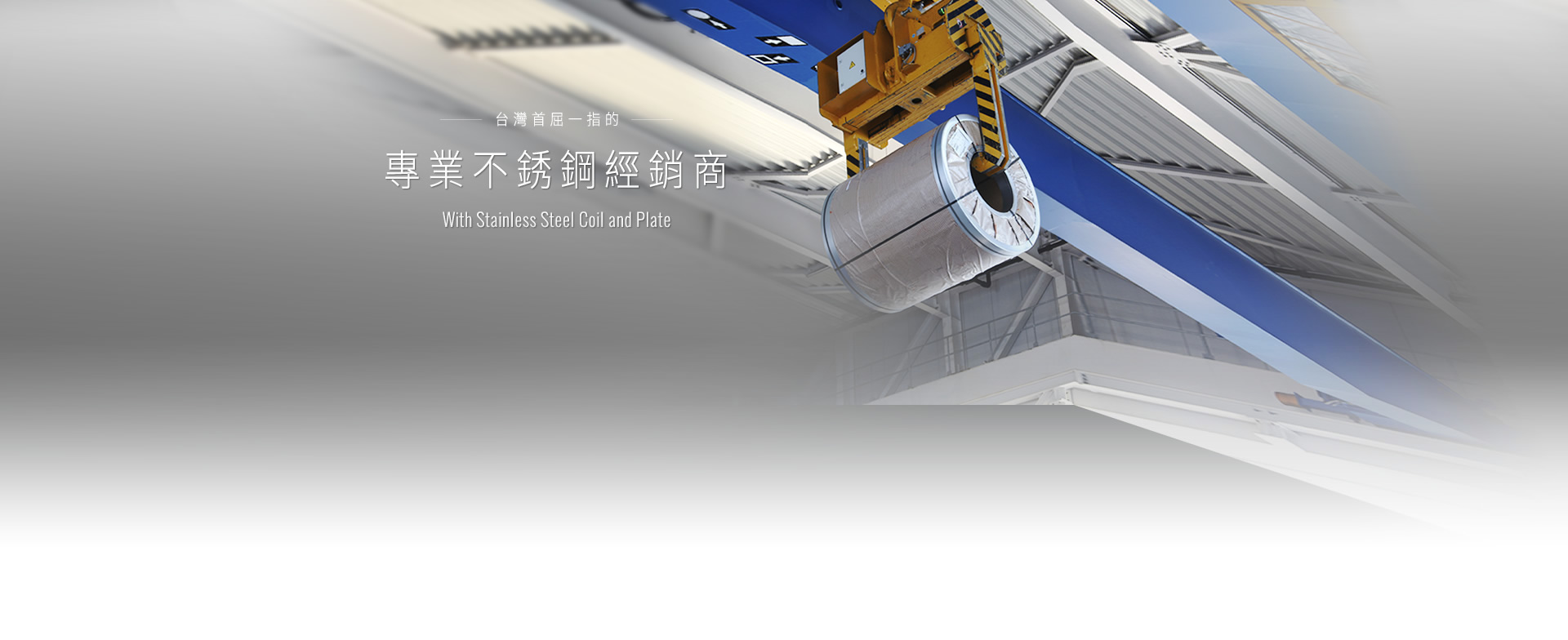Stainless Steel Coils